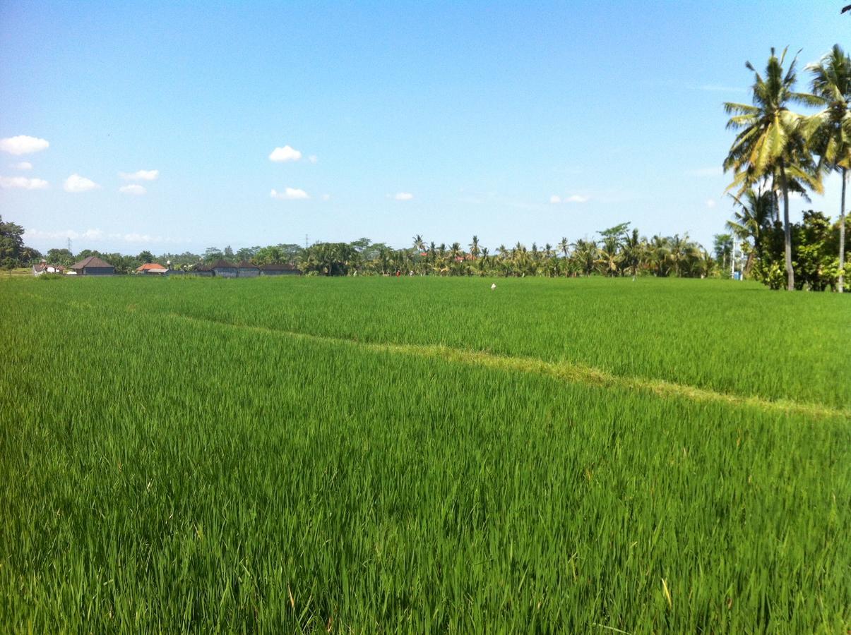 Hotel Seminyak Hideaway Zewnętrze zdjęcie
